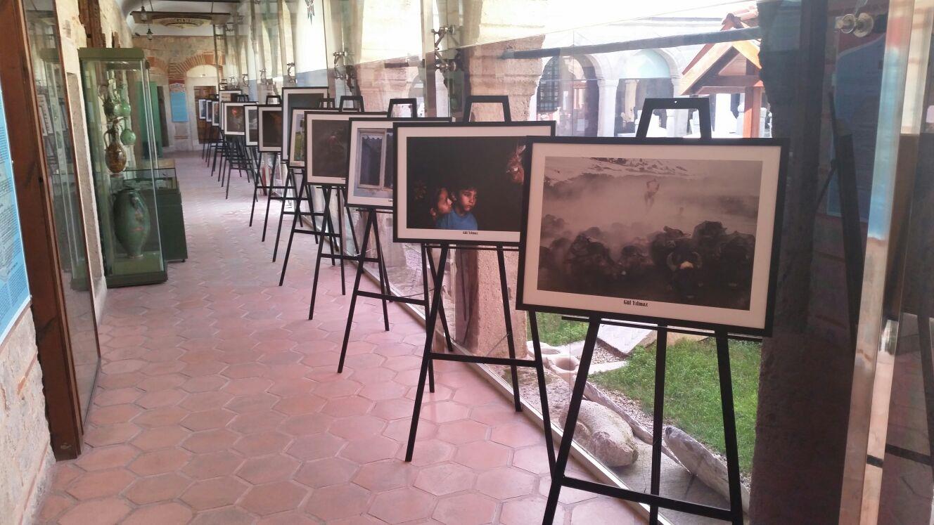 WhatsApp Image 2018-02-15 at 15.49.56(1).jpeg